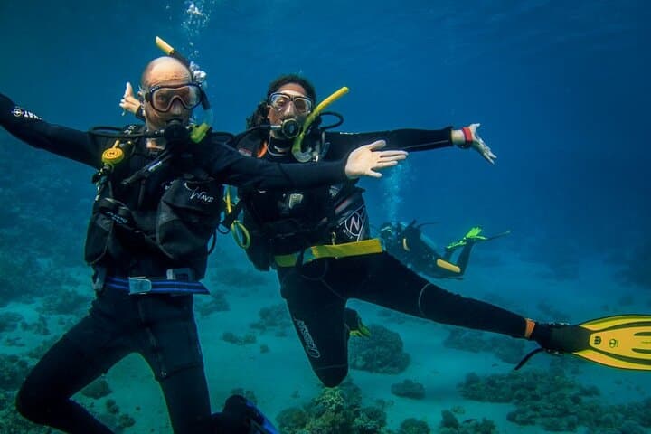 Red Sea Day Dives with Lunch: Two-Reef Exploration from Sharm El Sheikh photo 5