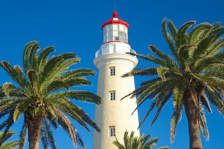 Day Trip from Montevideo to Punta del Este: Lighthouse, Beaches and Casapueblo photo 4
