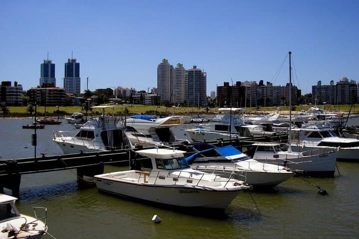 Day Trip from Montevideo to Punta del Este: Lighthouse, Beaches and Casapueblo photo 6