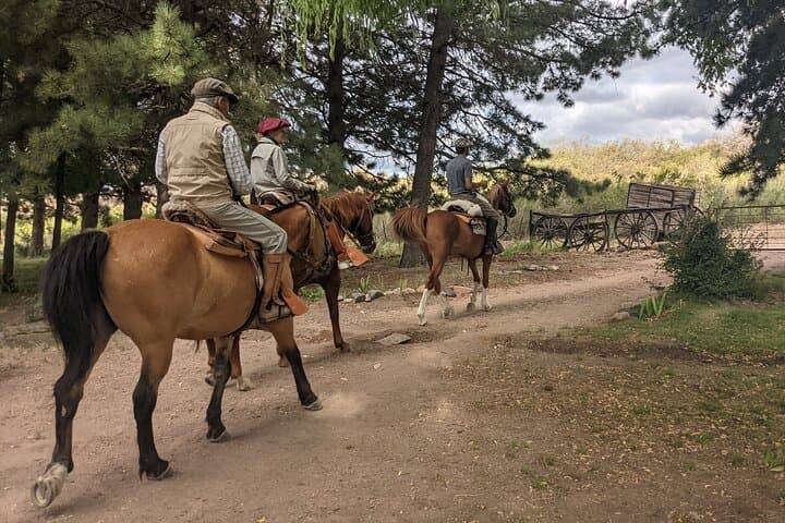 Private Horseback Riding in Valle de Uco: Andes Ride, Asado & Wine photo 3