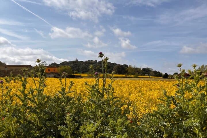 Medieval Bike Tour in Catalonia: History and Gastronomy photo 6
