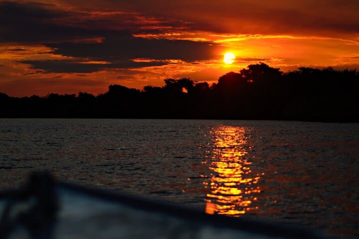 Paraguay River Eco Tour: Manduvira Confluence, Birding & Sunset Boat Trip photo 4