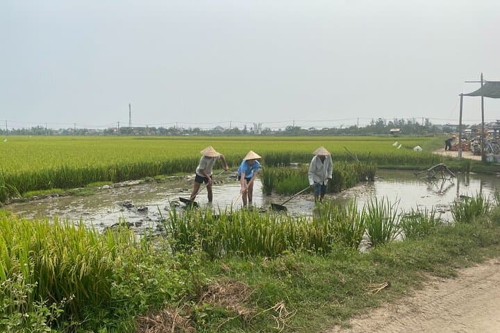 Riding Hoi An’s Back Roads: Countryside Vespa Tour, Food & Village Life photo 2
