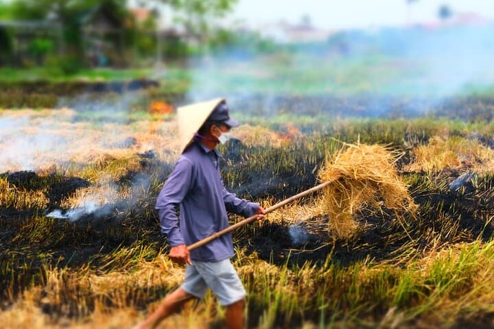 Riding Hoi An’s Back Roads: Countryside Vespa Tour, Food & Village Life photo 6