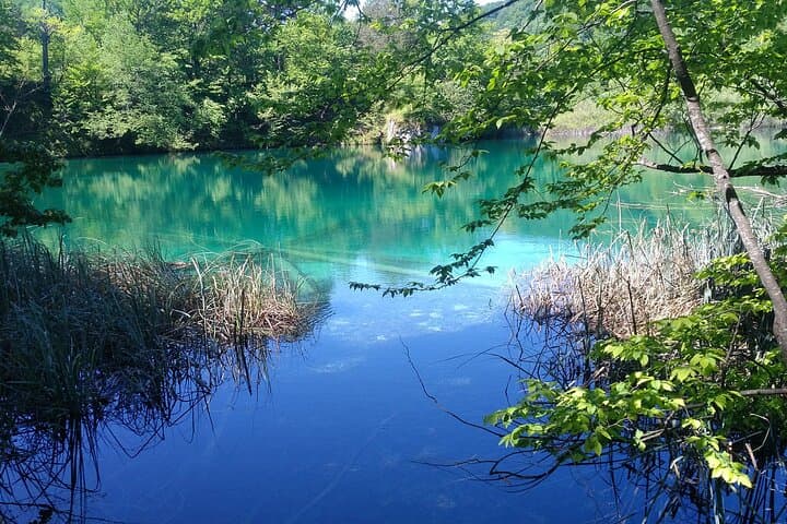 Full-Day Private Tour of Plitvice Lakes National Park from Zadar — A Complete Visitor Guide photo 1