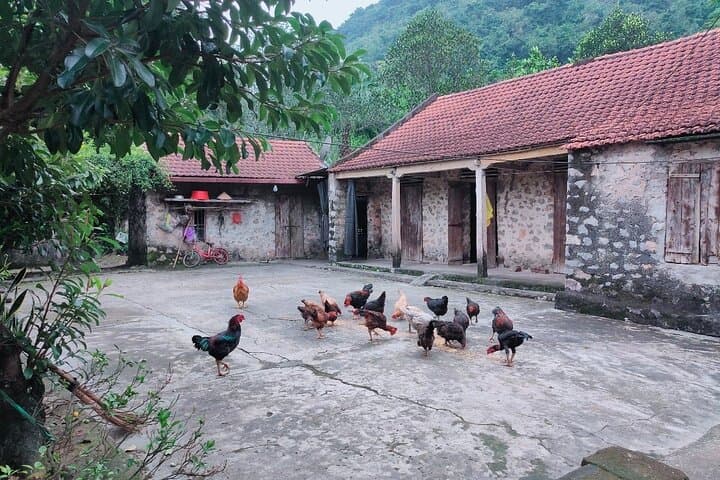 Private Luxury Day Tour to Thien Ha Cave & Trang An — Sampan Boat, Cycling & Local Family Visit photo 3