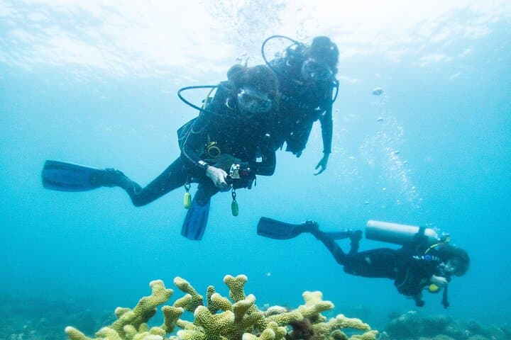 Koloa Landing One-Tank Shore Dive — Kauai South Shore for Certified Divers photo 1