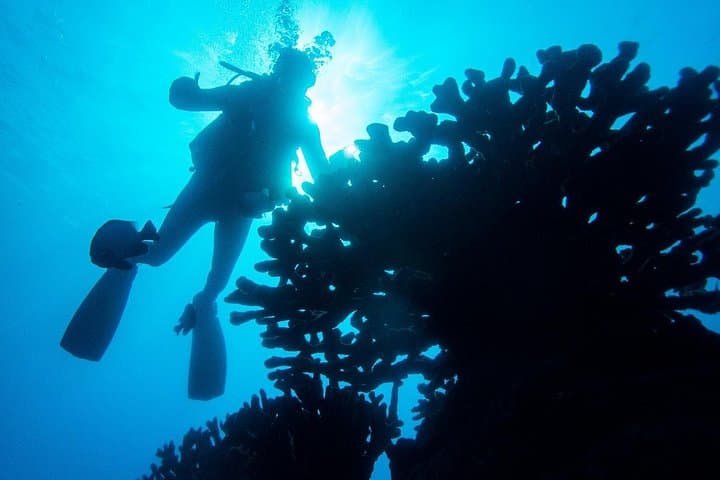 Discover Scuba at Koloa Landing: 1-Tank Shore Dive on Kauai's South Shore photo 1