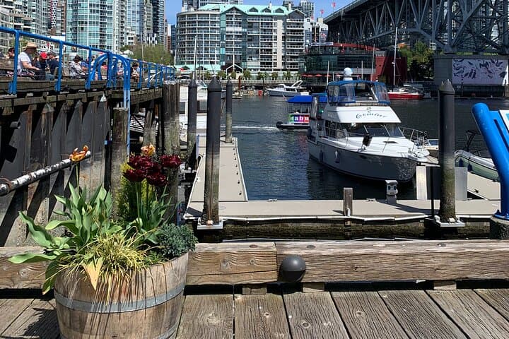 Private Vancouver Sightseeing Tour: Downtown, Stanley Park & North Shore Mountains photo 4