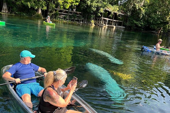 Clear Kayak Tours at Silver Springs: Manatees, Monkeys & Film History photo 2