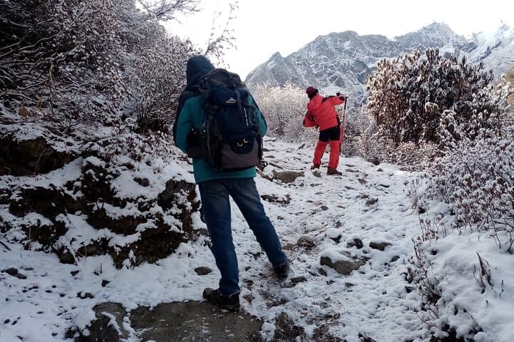 Langtang Valley Trek: 10-Day Kathmandu to Kyanjin Gompa Adventure photo 6
