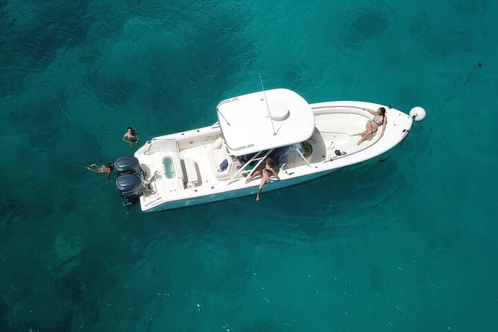 Mahe Private Boat Tour to Baie Ternay, Anse Major & St Anne Marine Park photo 4