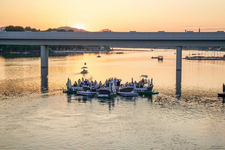 Floating Dinner on Vienna's Old Danube — Private E‑Boat Dining Experience