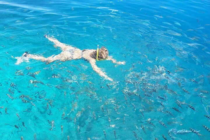 Mahe Private Boat Tour to Baie Ternay, Anse Major & St Anne Marine Park photo 5