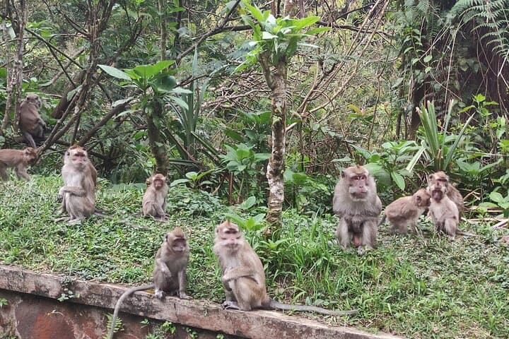 Java Classic Overland Tour: 9-Day Cultural & Volcano Journey from Jakarta to Bromo photo 4