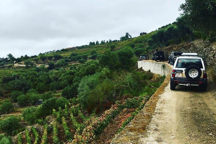 Off-Road Douro Valley 4x4 Private Tour from Porto photo 3