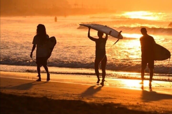 Learn to Surf in Weligama: Ride a Wave Surf School Experience photo 5