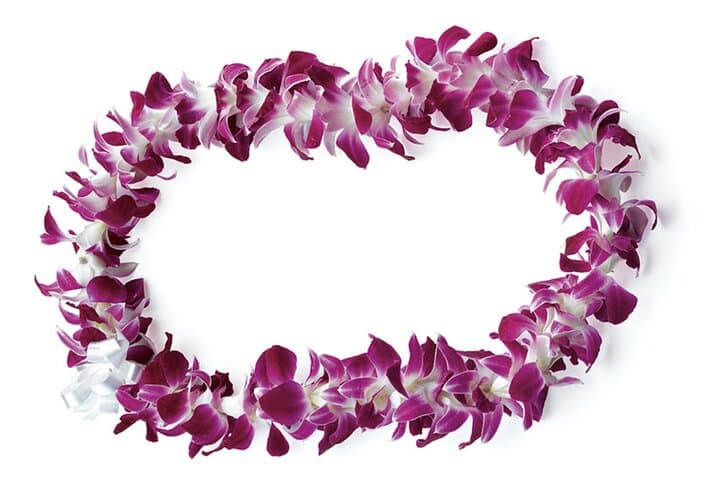 Honolulu Airport to Waikiki Private Transfer with Lei Greeting — Smooth, Personalized Arrival photo 3