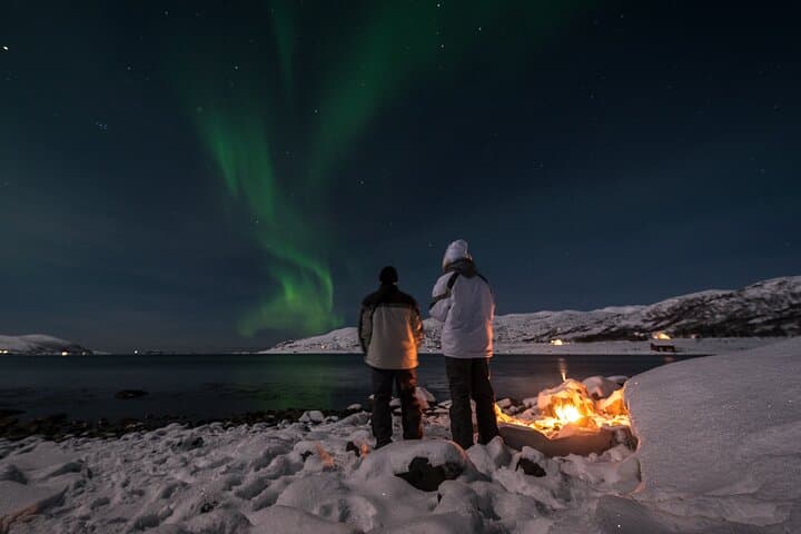 Private Northern Lights Tour from Tromsø — VIP Aurora Chase with Local Guide