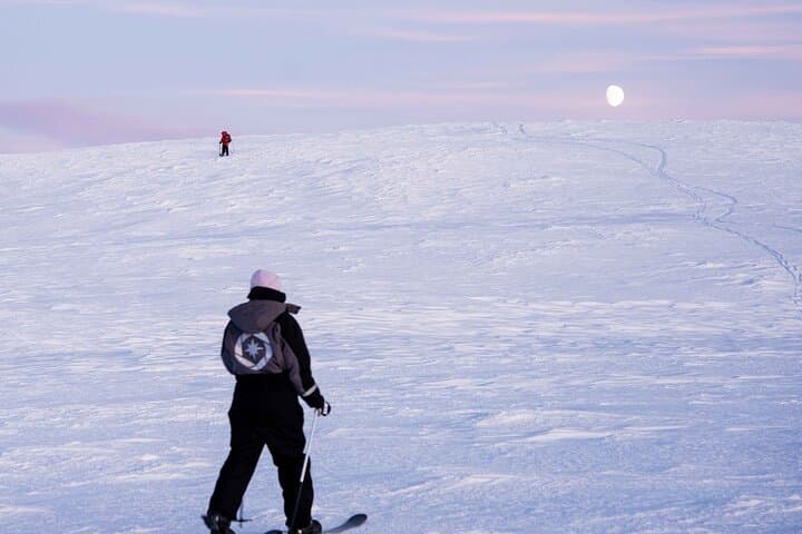 Half-Day Backcountry Skiing & Photography in Levi — Arctic Forests and Open Fells photo 3