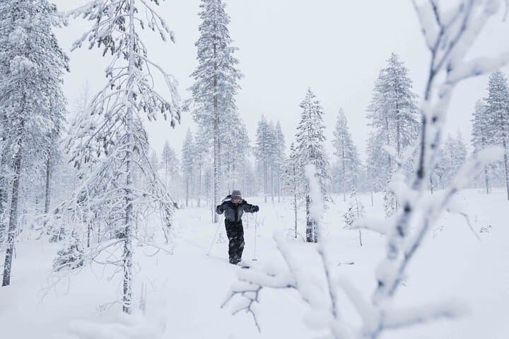 Half-Day Backcountry Skiing & Photography in Levi — Arctic Forests and Open Fells photo 5