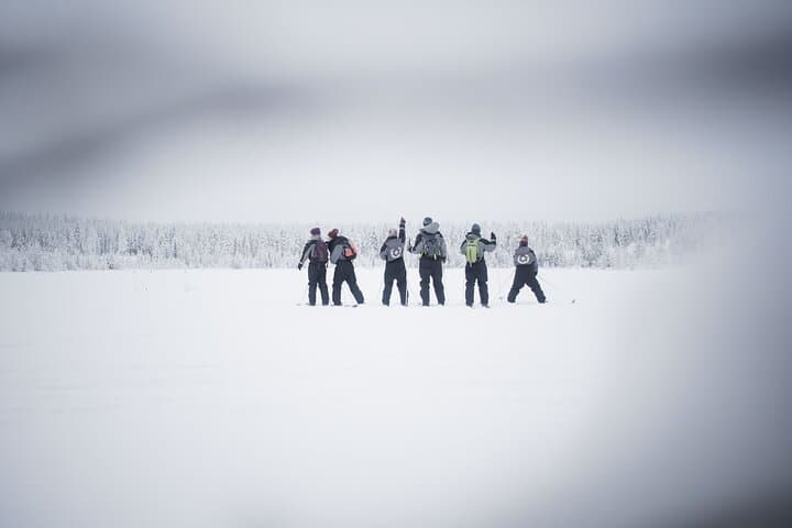 Half-Day Backcountry Skiing & Photography in Levi — Arctic Forests and Open Fells photo 6