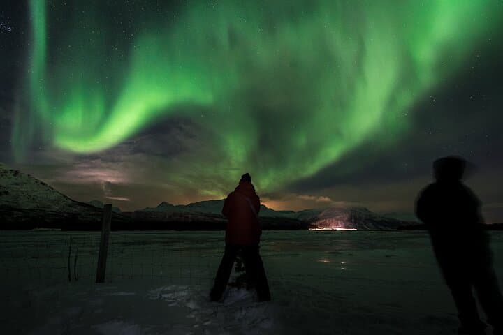 Private Northern Lights Tour from Tromsø — VIP Aurora Chase with Local Guide photo 6