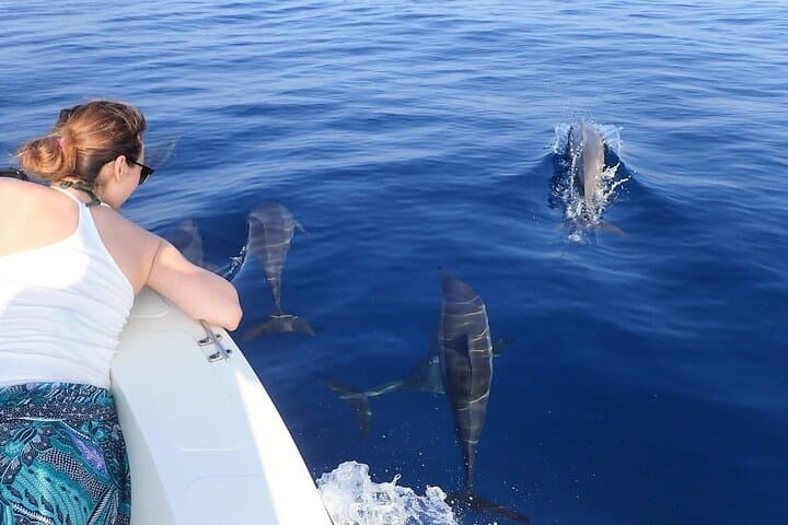 Trincomalee Whale & Dolphin Watching with Snorkel Stops at Swami and Navy Rock photo 3
