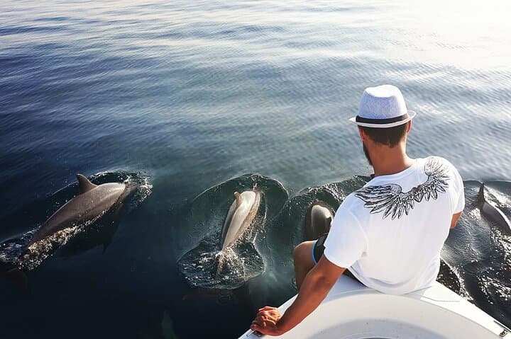 Trincomalee Whale & Dolphin Watching with Snorkel Stops at Swami and Navy Rock