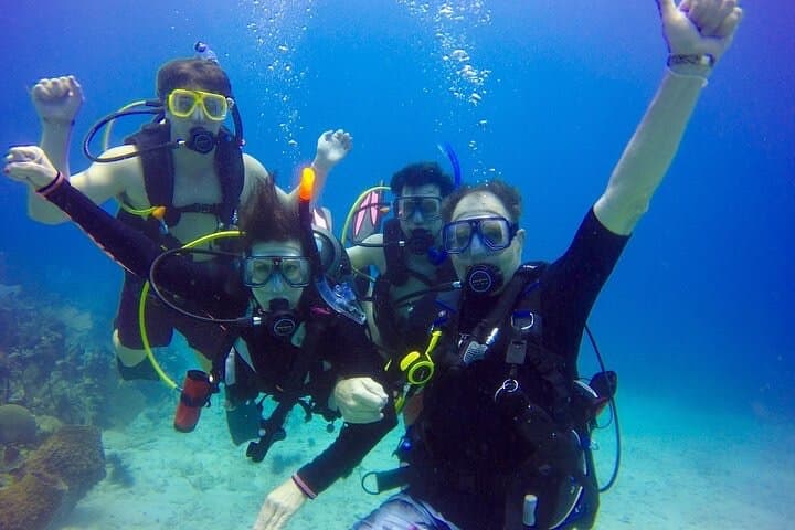 Punta Cana Reef Diving Adventure: Catamaran Dives & Coastal Snorkeling photo 6