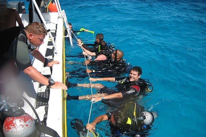 Punta Cana Reef Diving Adventure: Catamaran Dives & Coastal Snorkeling photo 3