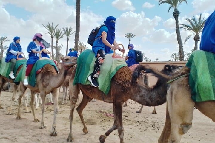 Marrakech Quad Biking and Camel Ride — Palmeraie Dromedary & Quad Adventure photo 6