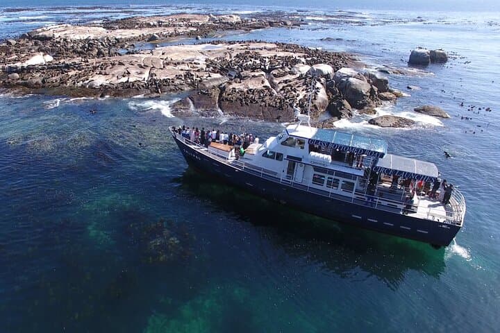 Cape Point & Boulders Beach Penguins: Full-Day Private Tour from Cape Town photo 3