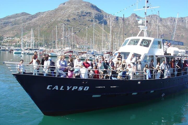 Cape Point & Boulders Beach Penguins: Full-Day Private Tour from Cape Town photo 4