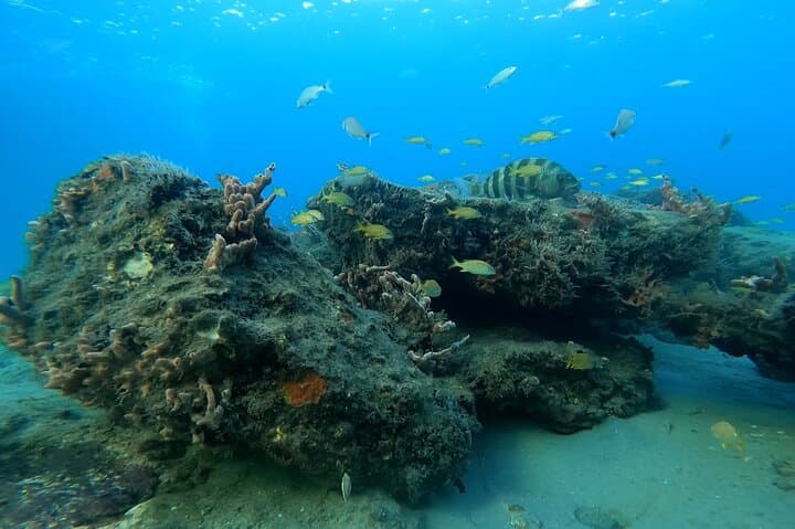 Lauderdale-by-the-Sea Beach Snorkeling Adventure – Shore Reef Tour photo 2