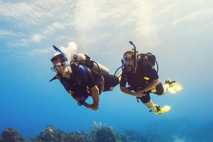 Discover Scuba: Half-Day Pool and Beach Dive in Lauderdale-By-The-Sea