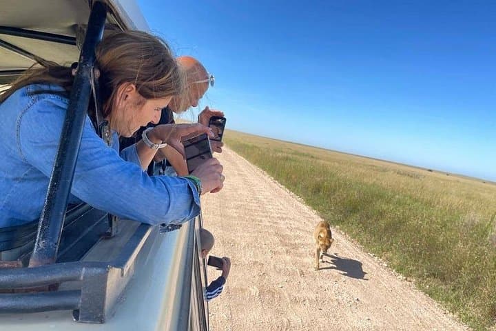 5-Day Private Safari from Arusha: Serengeti, Ngorongoro, Tarangire & Manyara photo 1