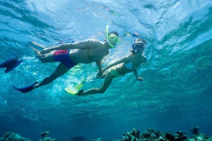 Lauderdale-by-the-Sea Beach Snorkeling Adventure – Shore Reef Tour photo 1