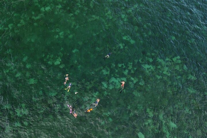 Lauderdale-by-the-Sea Beach Snorkeling Adventure – Shore Reef Tour photo 3