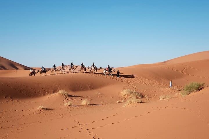 2-Day Erg Chegaga Camel Trek & Desert Camp from Ouarzazate photo 4