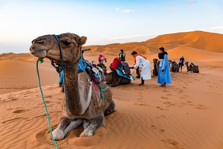 2-Day Erg Chegaga Camel Trek & Desert Camp from Ouarzazate