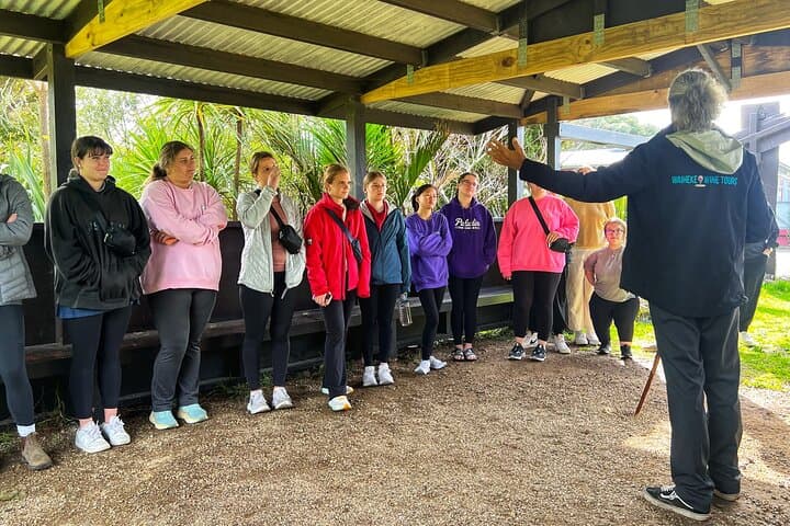 Waiheke Island Maori Cultural Tour with Wine, Lunch & Sacred Sites photo 5