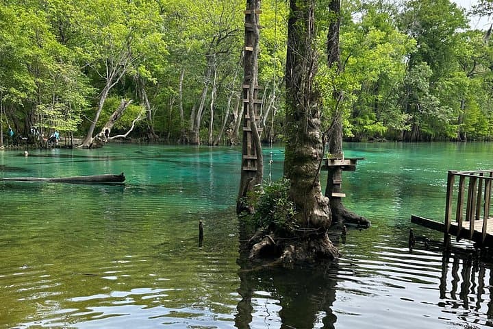 Clear Paddleboard Adventure to Cypress Springs: Kayak & SUP Eco-Tour from Vernon photo 1