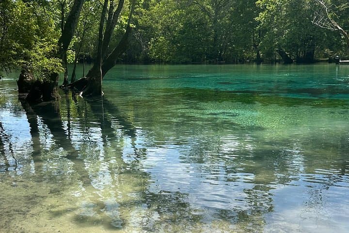 Clear Paddleboard Adventure to Cypress Springs: Kayak & SUP Eco-Tour from Vernon photo 2