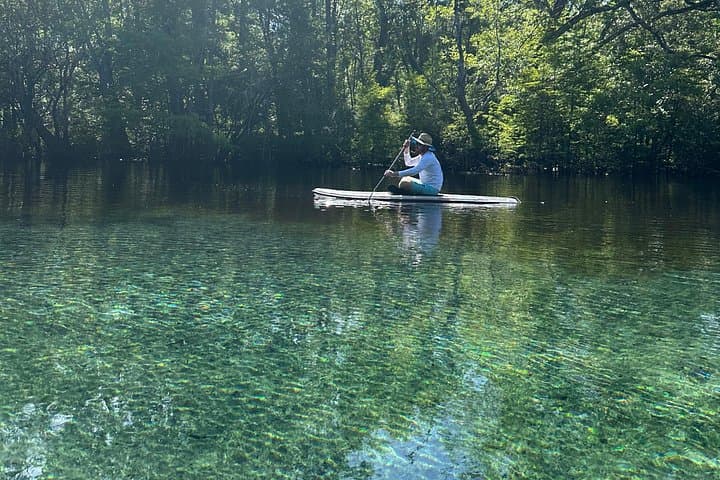 Clear Paddleboard Adventure to Cypress Springs: Kayak & SUP Eco-Tour from Vernon photo 3