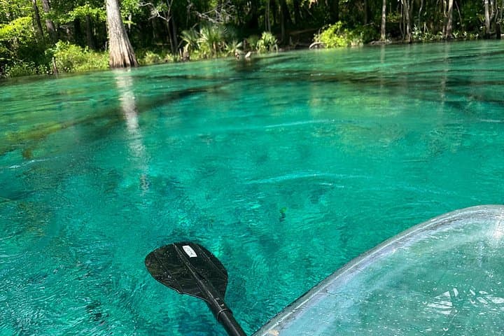 Clear Paddleboard Adventure to Cypress Springs: Kayak & SUP Eco-Tour from Vernon photo 4