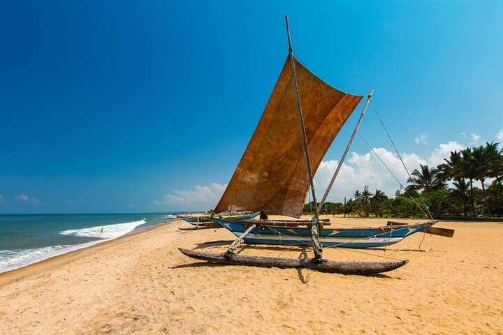 7-Day Sri Lanka Highlights: Sigiriya, Kandy, Tea Country & Southern Coast photo 2