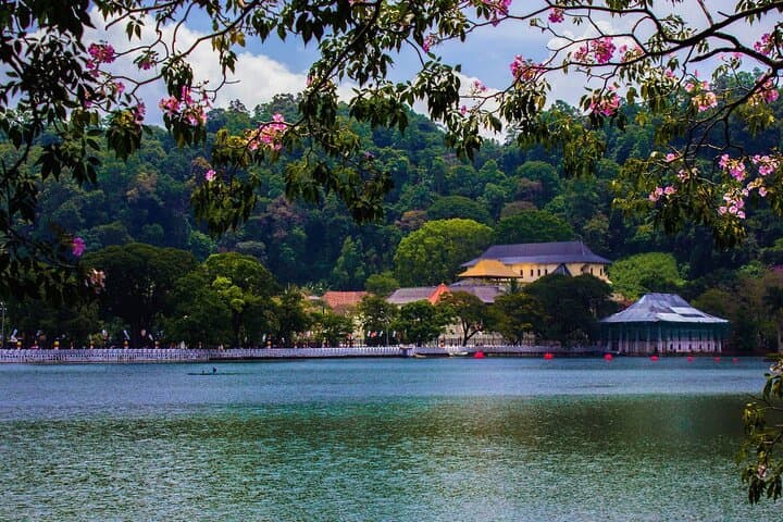 7-Day Sri Lanka Highlights: Sigiriya, Kandy, Tea Country & Southern Coast photo 5