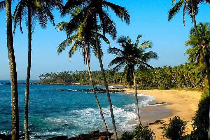 7-Day Sri Lanka Highlights: Sigiriya, Kandy, Tea Country & Southern Coast