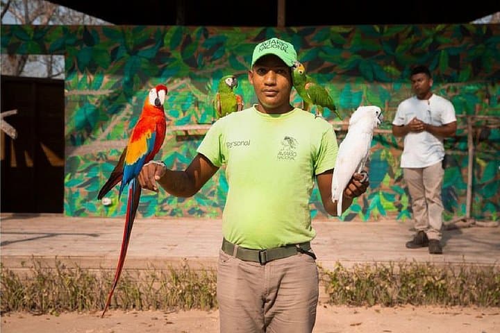 Playa Blanca & Barú Aviary Full-Day Tour from Cartagena with Lunch photo 3